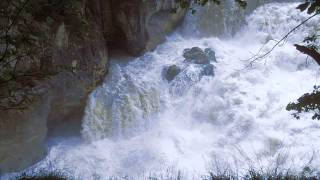 Wildes Wasser (Nights In White Satin), Juliane Werding, Cover Blaustahl1