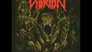 Vibrion - Toxic Shock (Agnostic Front Cover) (Live)