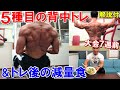 【筋トレ】減量期の背中のトレーニングとトレ後の減量食!5種目で広背筋や僧帽筋を鍛えるメニュー【解説付】