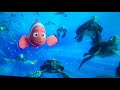 Finding Nemo 2003 Sea Turtles Scene