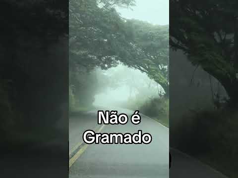 Ladeira do camarão (Amaraji PE) #turismo #praiasdonordeste #turistandoemsp #alagoas #noticias