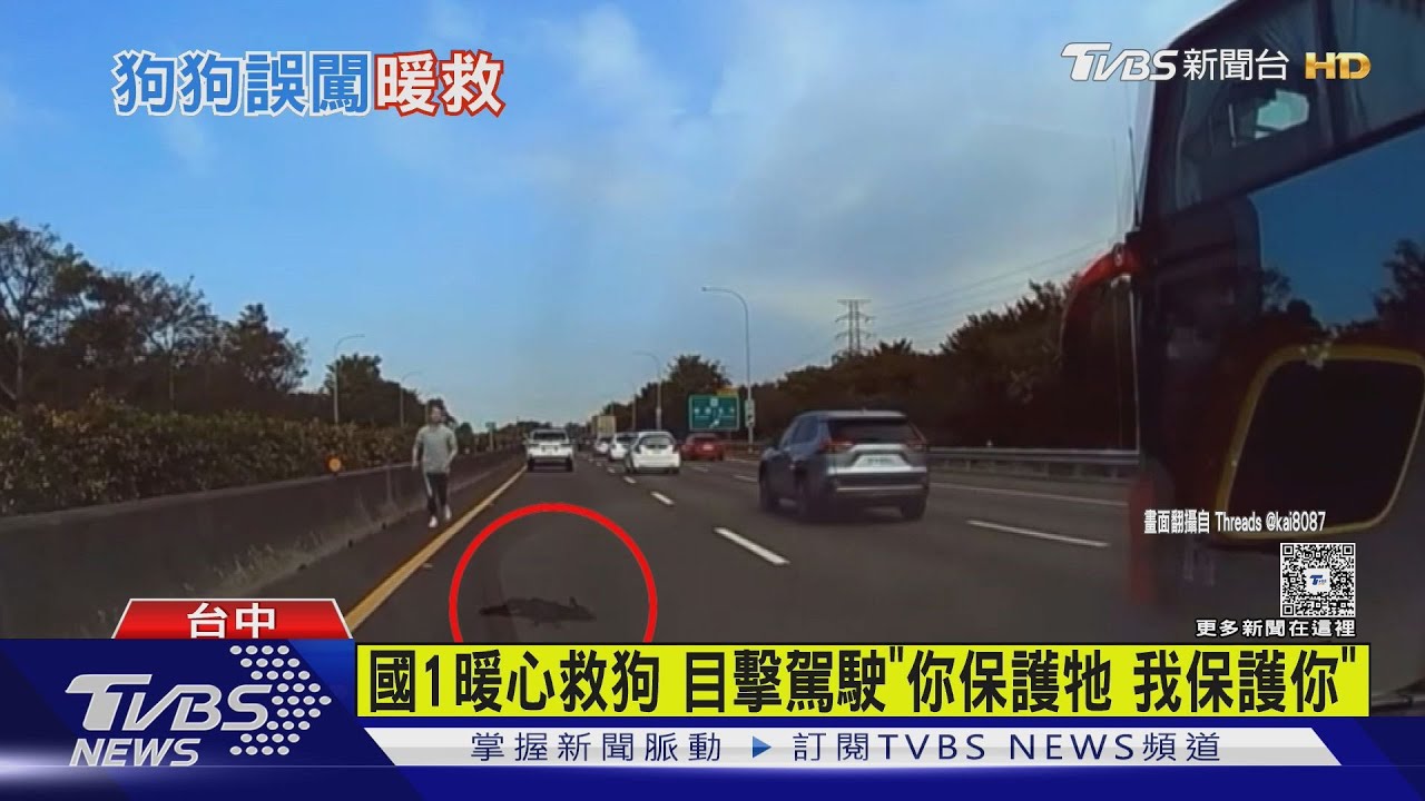 國道暖停救狗 目擊駕駛"你保護牠 我保護你" 高公局提醒這點