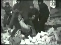 Электорат - РККА 