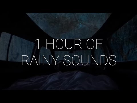 1 Hour of Sleeping in a Car During Rainstorm with Let Go - Ark Patrol | Rain & Music for Sleep