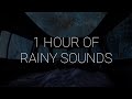 1 Hour Of Sleeping In A Car During Rainstorm With Let Go Ark Patrol Rain Music For Sleep