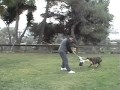 Super Molly Holds Her Own