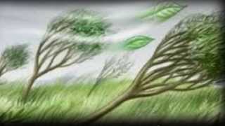 Asa De Vento Lyrics English Translation