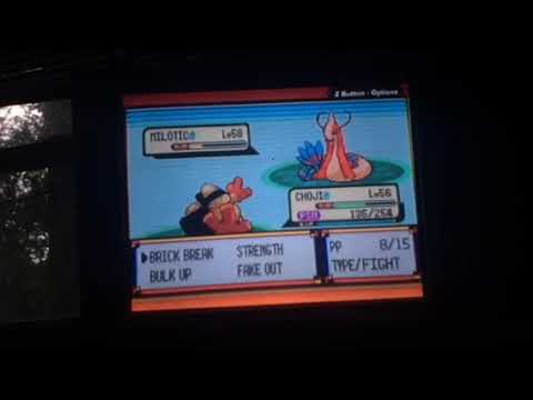 Pokémon Emerald Wedlocke FINALE