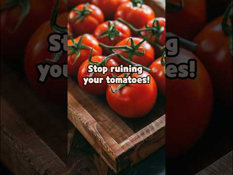 Stop ruining your tomatoes! 🍅 The right way to store them fresh 🍅#tomatostorage #superfood