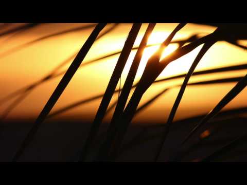 Der verheißene Messias - Hazrat Mirza Ghulam Ahmad (as) - über die Aufgabe des verheißenen Messias