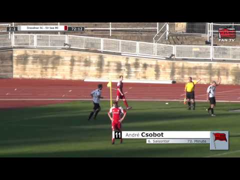 Tor: Dresdner SC 1898 2:2 SV See 90