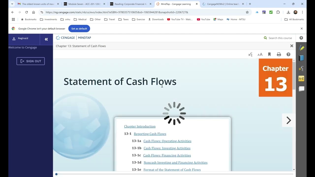 SNHU ACC 201 Module Eight