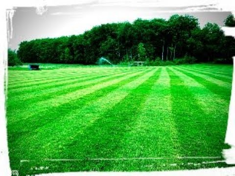 Sportplatz SSV SATOW Instandsetzung