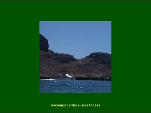 Luis Mint - toronto (trajecito) (Visualizer)