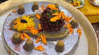 Pandit Anil shastri ji hsp is live रुद्राभिषेक