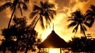 Silicone soul (Astrocats) - I Need To Freak