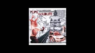 Disconnection Notice   Pupil