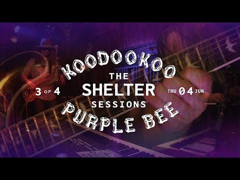 Koodookoo • The Shelter Sessions Live Stream #3 • Purple Bee Studios 2020-06-04 [Full Show]