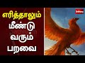 எரித்தாலும் மீண்டு வரும் பறவை Web Exclusive Sath