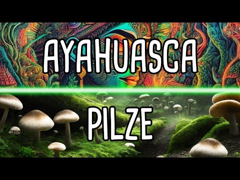 Ayahuasca vs. Pilze - der Vergleich!