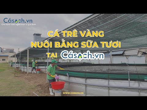 Copywriting - Viết b&agrave;i chỉn chu - Chuẩn SEO