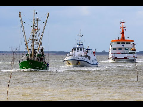 Fährüberfahrt von Bensersiel nach Langeoog
