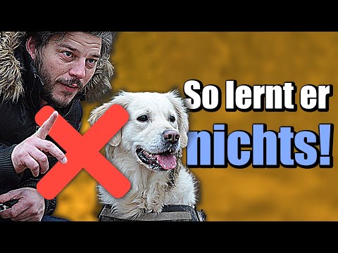 Ablenken funktioniert nicht und stört den Lernprozess!