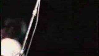 The Hippos - Please (live)