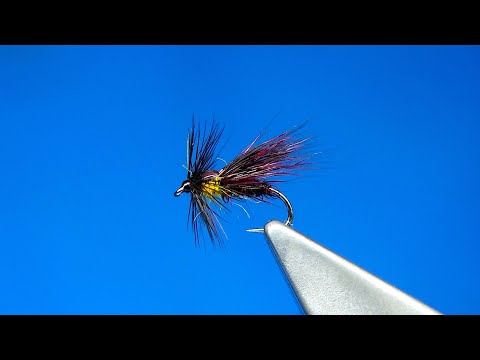 Tying a Claret Drop Caddis with Davie McPhail