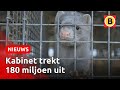 Alle nertsenhouders moeten begin 2021 stoppen | Omroep Brabant