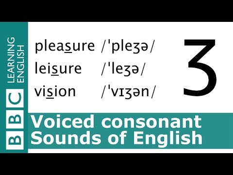 English Pronunciation 👄 Voiced Consonant - /ʒ/ - 'pleasure', 'leisure' and 'vision'