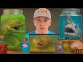 I Found The Deadliest Sea Creatures On The Dark Web