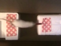 Maisy Mouse TIGHT ROPE