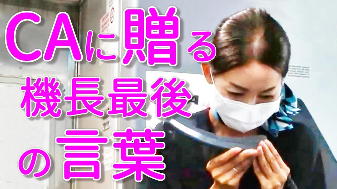 感動「本便を最後に退職いたします」ASMR風リメイク バイノーラル録音 CAに贈った機長の感動機内アナウンス