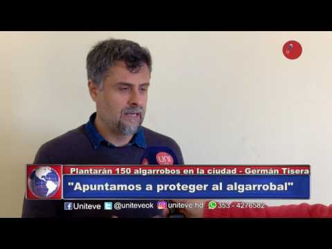 Plantarán 150 árboles