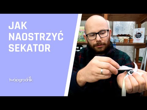 Jak naostrzyć sekator - prosto i na temat
