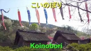 こいのぼりKoinobori（歌ありオルゴール・ローマ字歌詞付き）
