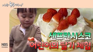 [나는농부다 280회] 샌프란시스코 어린이의 딸기 체험