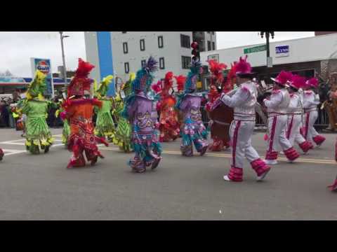 Boston St Patrick's day parade - check out the guy with the double bass!
