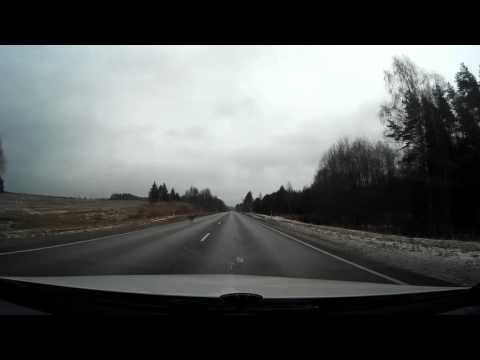Danger! Animal crossing road Riga - Pskov