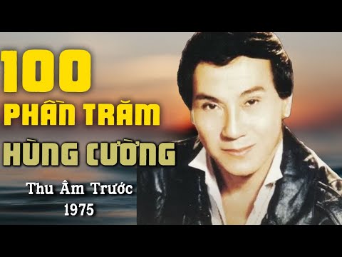 100 phần trăm Sheet - Hùng Cường