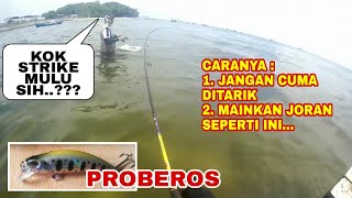 Download lagu Tricks for Playing Minnows When Casting to Get a Strike - Minnow Proberos - Ultralight Fishing mp3 Download lagu Tricks for Playing Minnows When Casting to Get a Strike - Minnow Proberos - Ultralight Fishing mp3