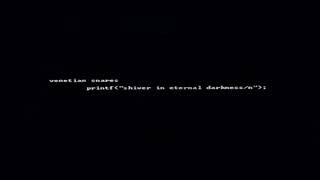 Venetian Snares – printf"shiver in eternal darkness/n"; (cd/album)