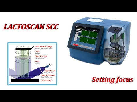 LACTOSCAN SCC Tip 2. Setting focus