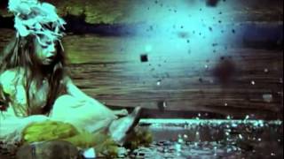 Living Things - Pollen Path