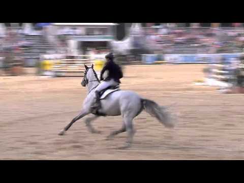 Carinjo (Cassini Boy Junior x Cornet Obolensky) / DKB Bundeschampionat 2014