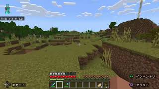マイクラサバイバル配信