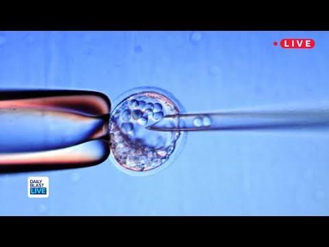 Woman Donates Her Embryos After Clinic Disaster