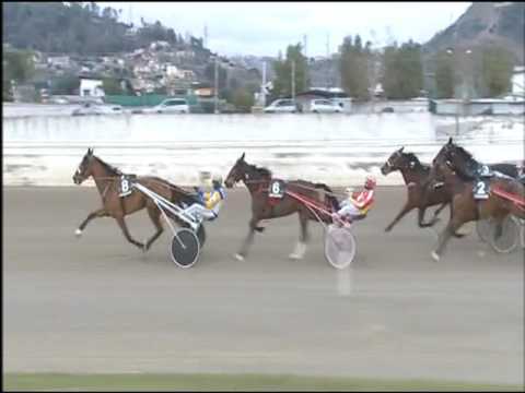 Trotto 31/01/2017 - 3ª corsa