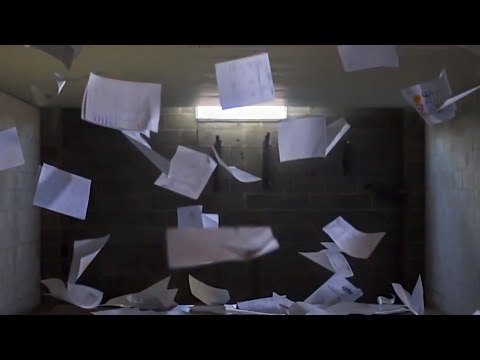 Witness21 Editor  2025 01 10